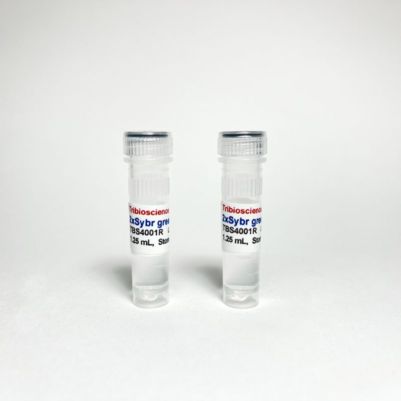 Tribo™ 2x Sybr qPCR Super Mix, No ROX