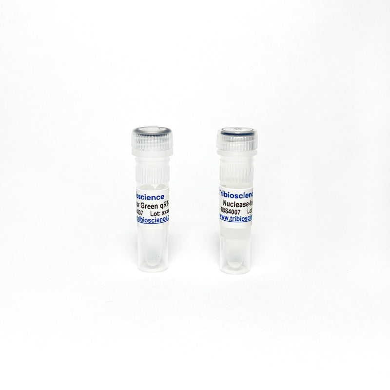 One-Step Sybr qRT-PCR, No ROX