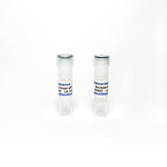 One-Step Sybr qRT-PCR, No ROX