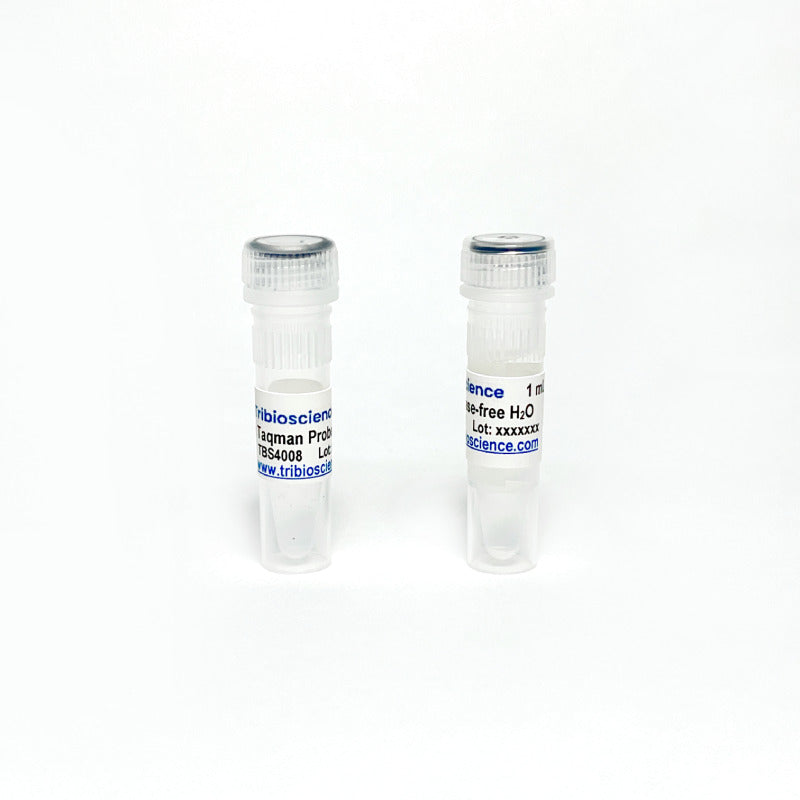 One-Step TaqProbe qRT-PCR Kit, No ROX
