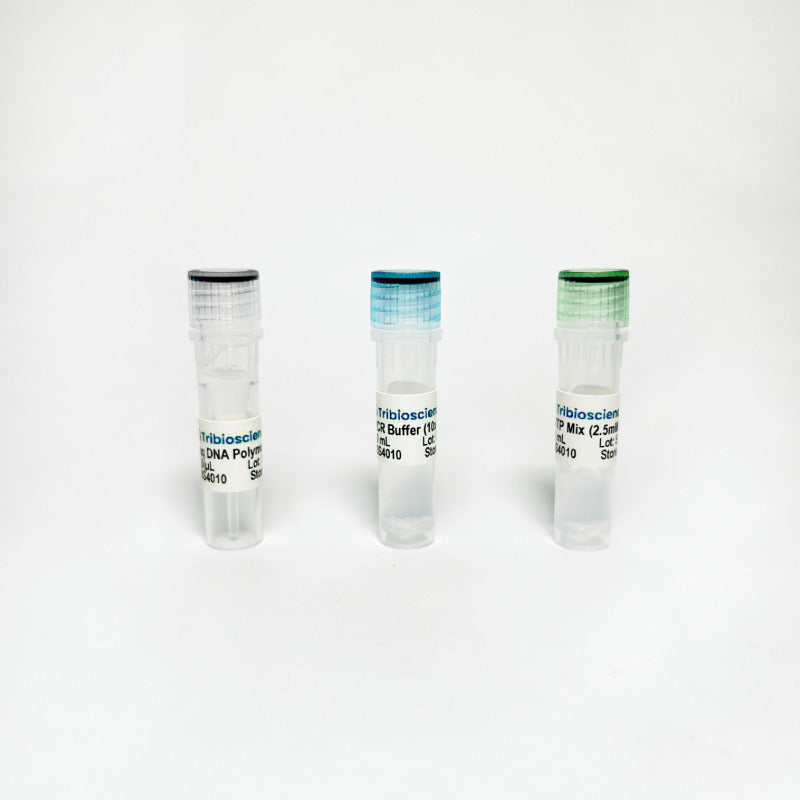 TriboTM Taq DNA Polymerase