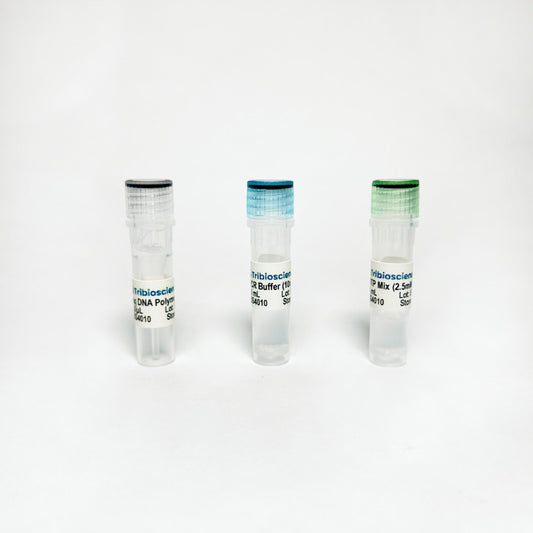 TriboTM Taq DNA Polymerase