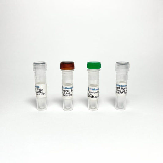 Probe qPCR Master Mix (100 rxns