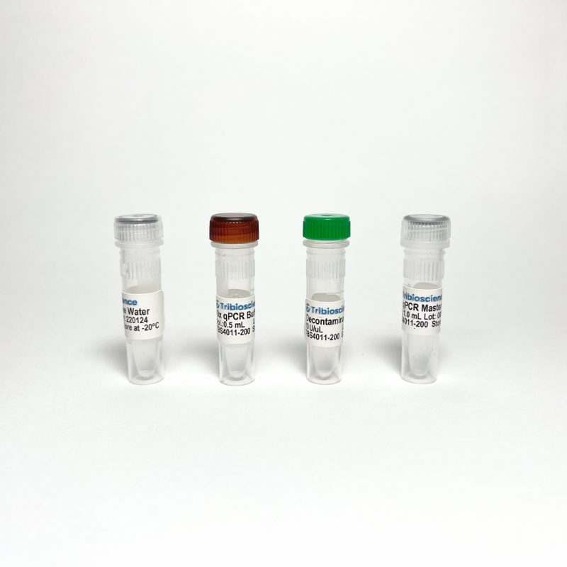 Probe qPCR Master Mix (200 rxns