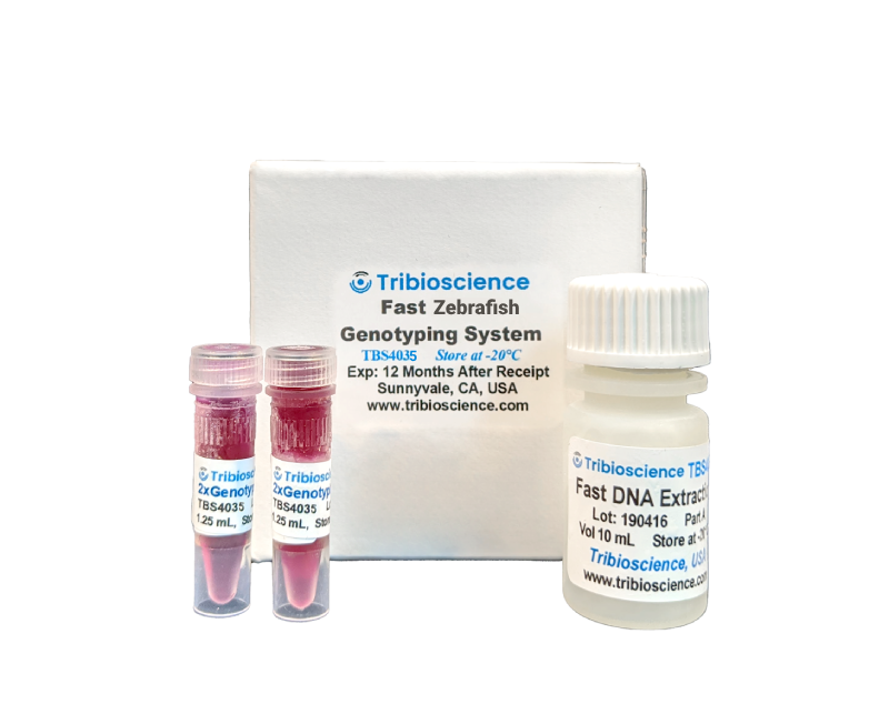 Fast Zebrafish Genotyping System