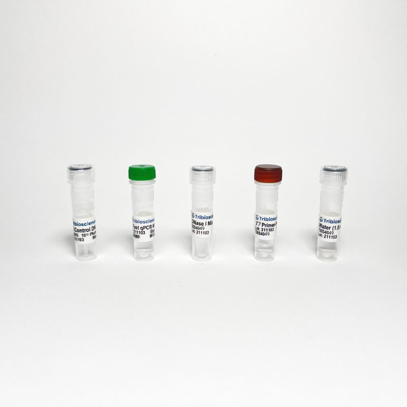 T7 Bacteriophage qPCR Titer