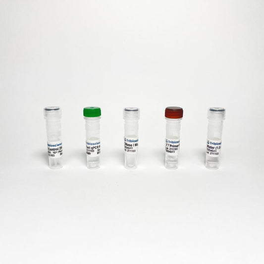 T7 Bacteriophage qPCR Titer