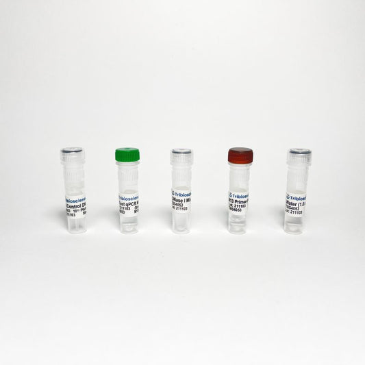 M13 Bacteriophage qPCR Titer