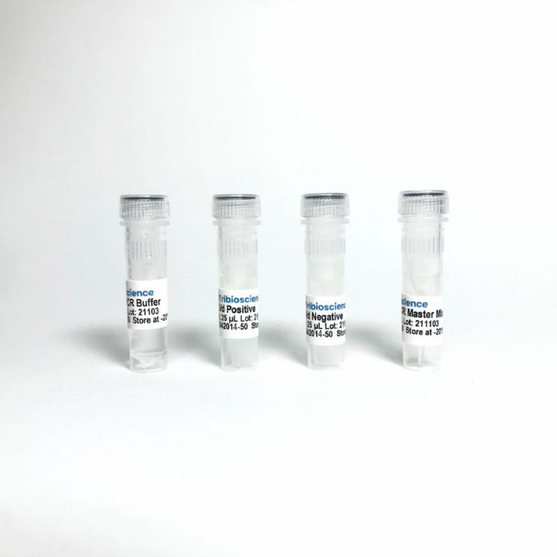 Arabis Mosaic Virus (ArMV) RT-qPCR Detection System. 100 RXN
