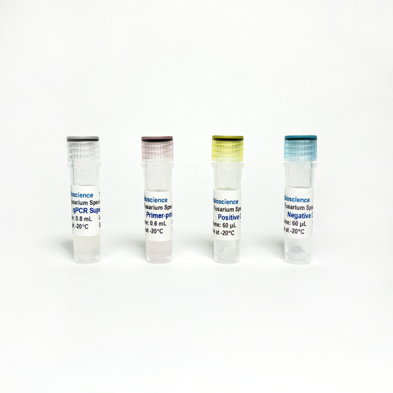 Fusarium Species TaqProbe qPCR Detection; 100 RXN