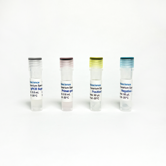 Fusarium Species TaqProbe qPCR Detection; 100 RXN