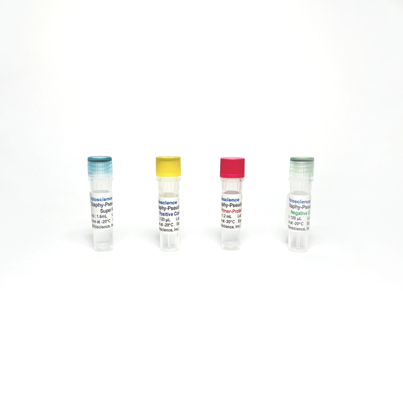 Pseudomonas Aeruginosa and Staphylococcus Aureus Detection qPCR