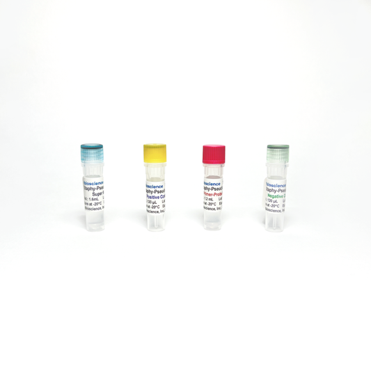 Pseudomonas Aeruginosa and Staphylococcus Aureus Detection qPCR