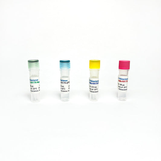 Alfalfa GMO KK179-MON00179-5 qPCR Detection