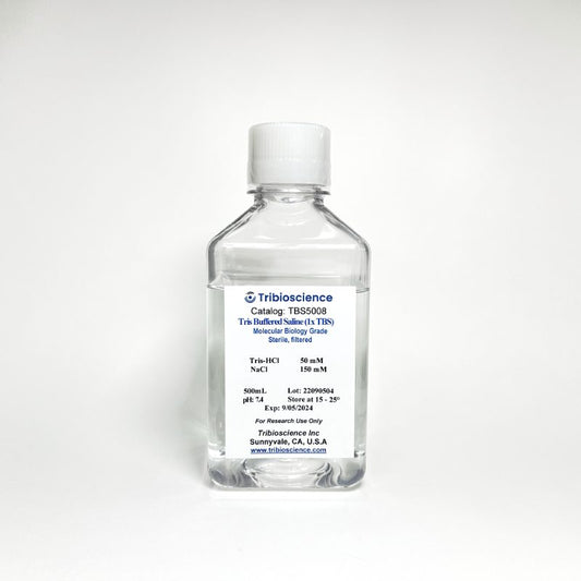 Tris Buffered Saline (1x TBS)