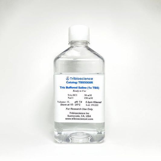 Tris Buffered Saline (1x TBS)