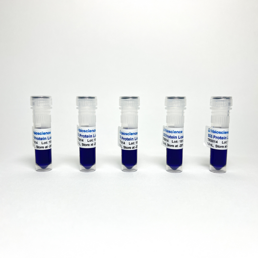 6x Protein Loading Buffer