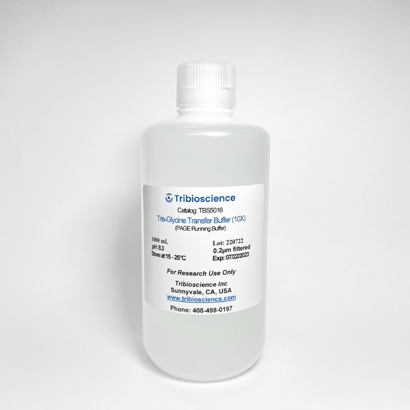 10x PAGE-gel transfer buffer