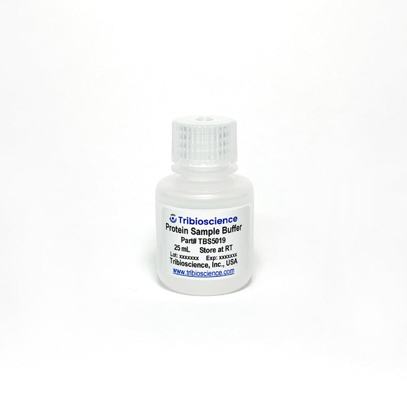 2x protein sample buffer
