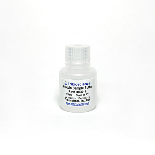 2x protein sample buffer