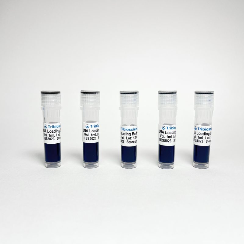 6x DNA Loading Buffer