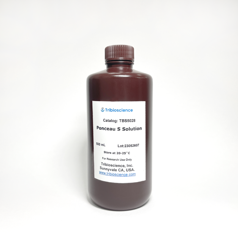 Ponceau S Solution