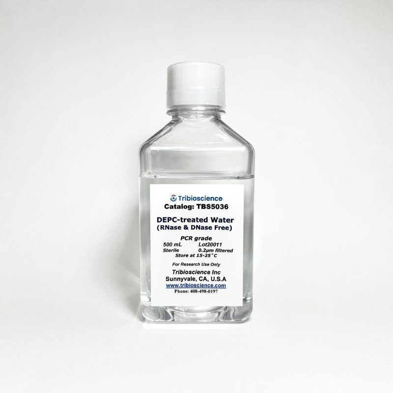 DEPC-Treated H2O