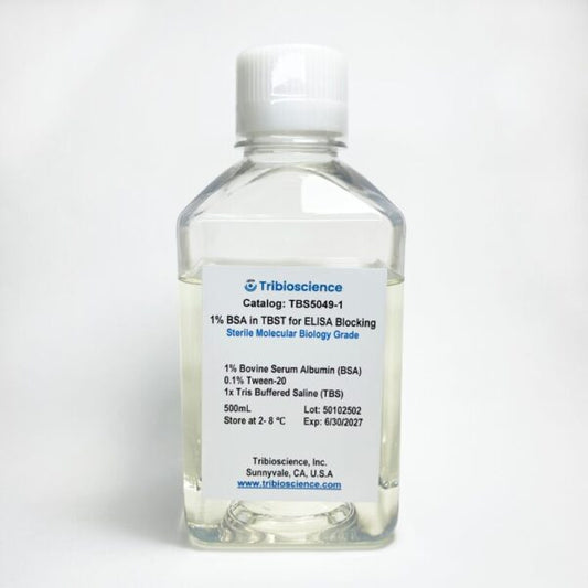 1% Bovine Serum Albumin in TBST Buffer for ELISA Blocking