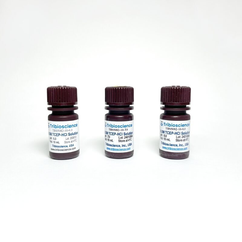 0.5M TCEP-HCl Solution, pH=8.0