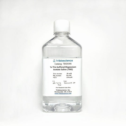 1x Tris-buffered Magnesium Acetate Saline (TMS)