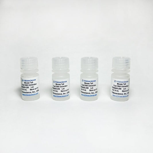 Mouse Tail DNA Extraction
