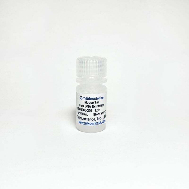 Mouse Tail DNA Extraction