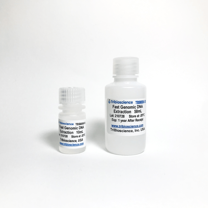 Fast Genomic DNA Extraction from Cells and Tissues
