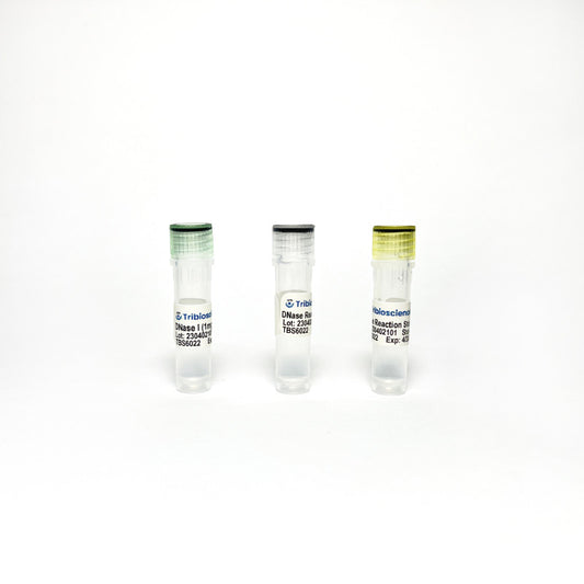 Tribo™ DNase I Solution (1 mg/mL)