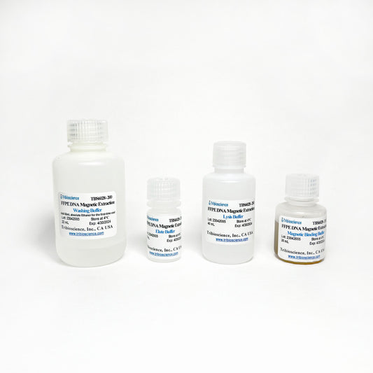 FFPE DNA Magnetic Extraction Kit