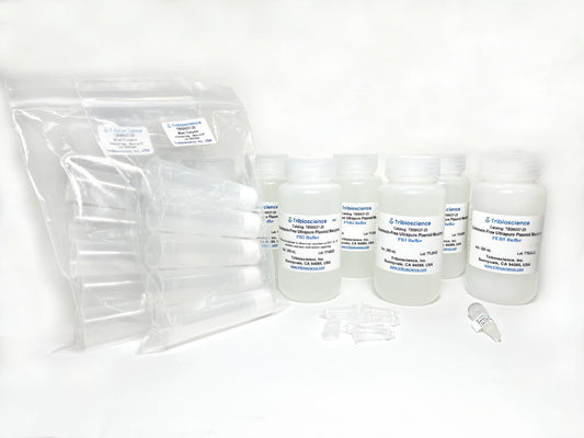Endotoxin-free Ultrapure Plasmid DNA Maxiprep