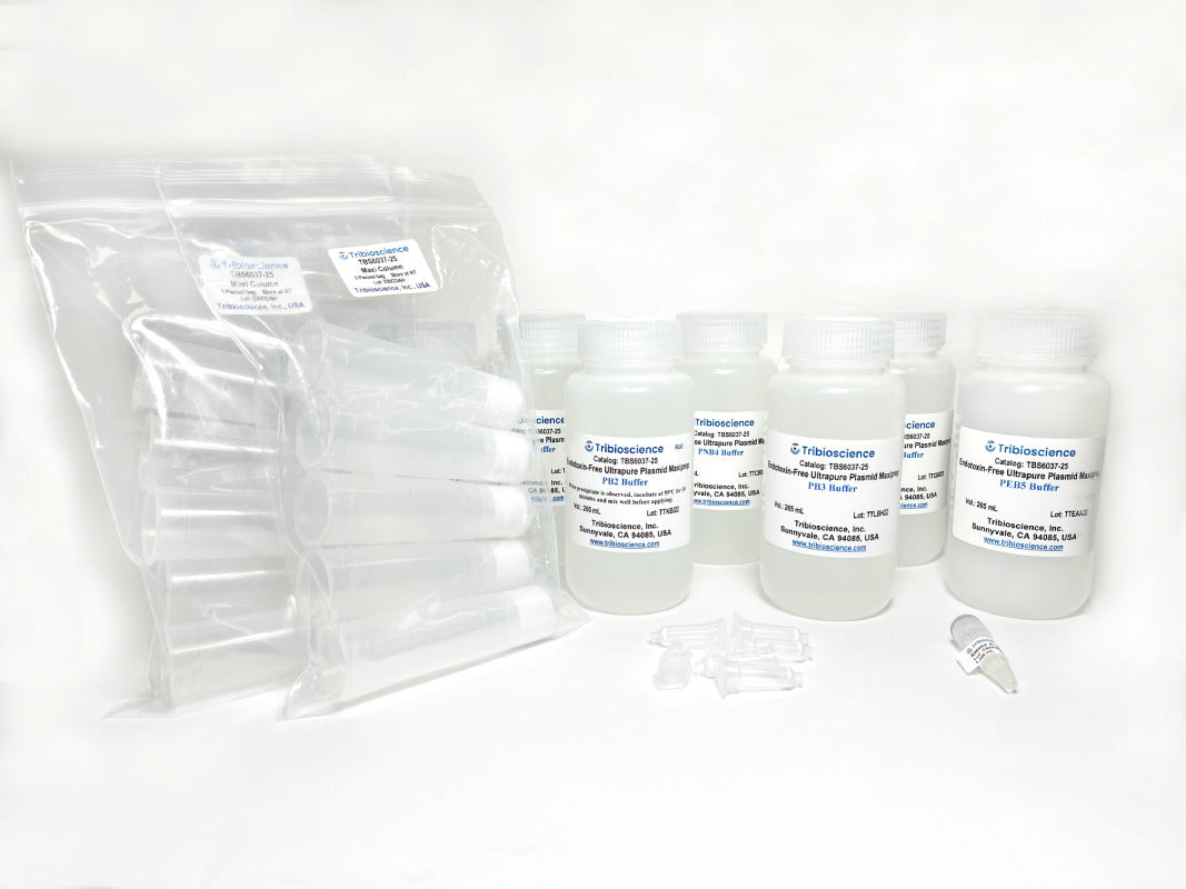 Endotoxin-free Ultrapure Plasmid DNA Maxiprep