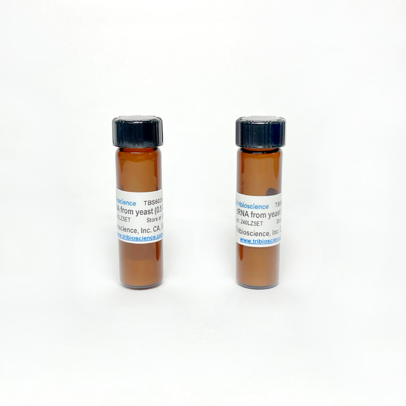 Transfer Ribonucleic Acid /tRNA (from yeast)
