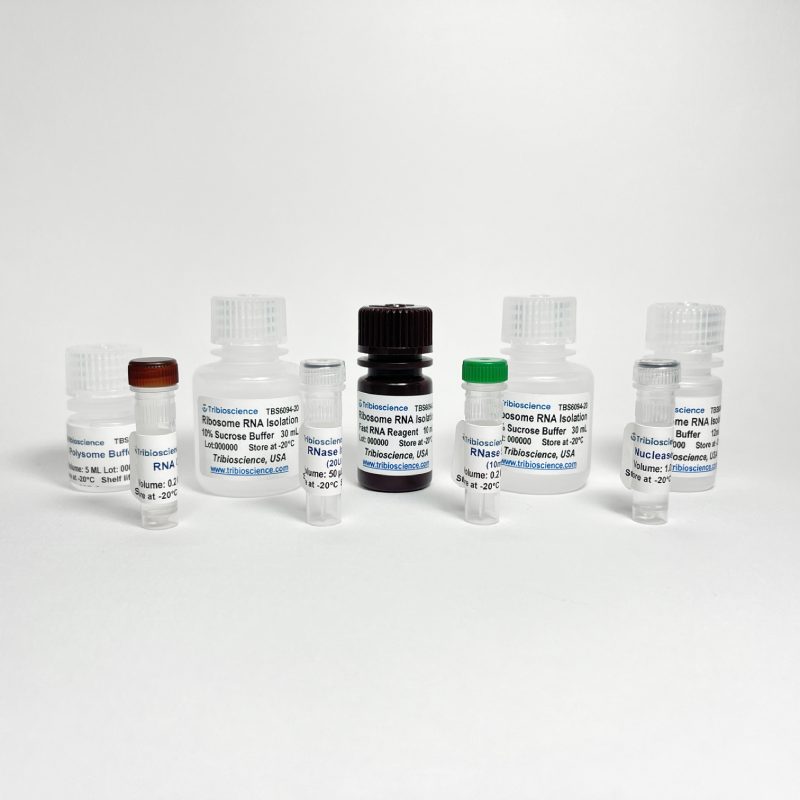 Ribosome RNA Purification Kit