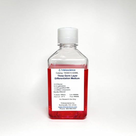 Three Germ Layer Differentiation Medium