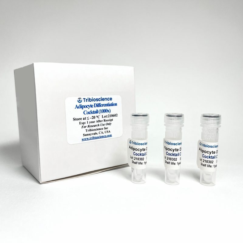Tribo™ Adipocyte Differentiation Cocktail