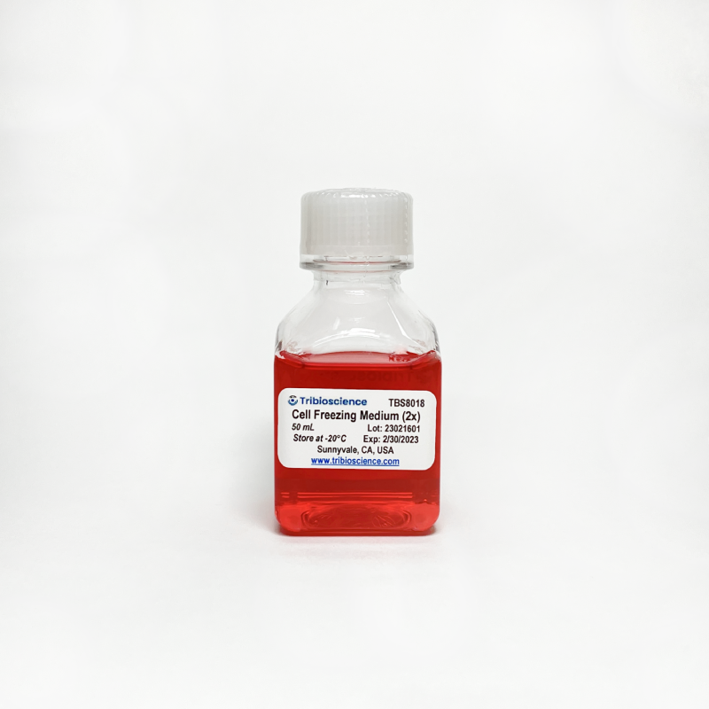 2x Cell Freezing Medium