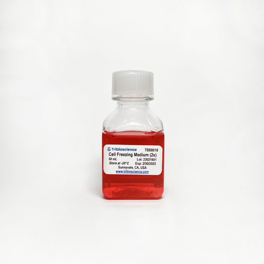 2x Cell Freezing Medium