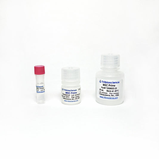 Tribo™ MSC Prime Medium, 25x