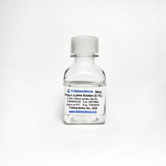 Poly-L-Lysine Solution (0.1%) in Water