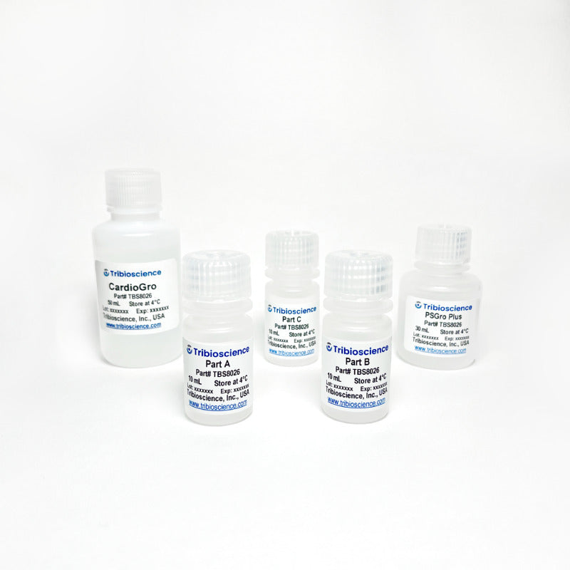 Tribo™ Cardiomyocyte Differentiation Kit