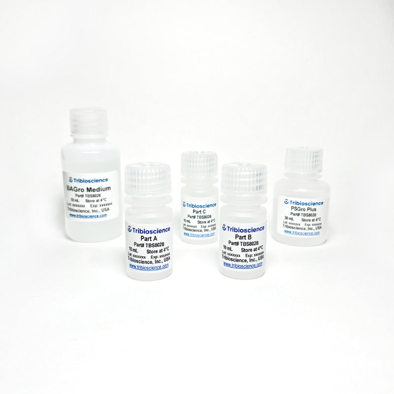 Tribo™ Brown Adipocyte Differentiation Kit