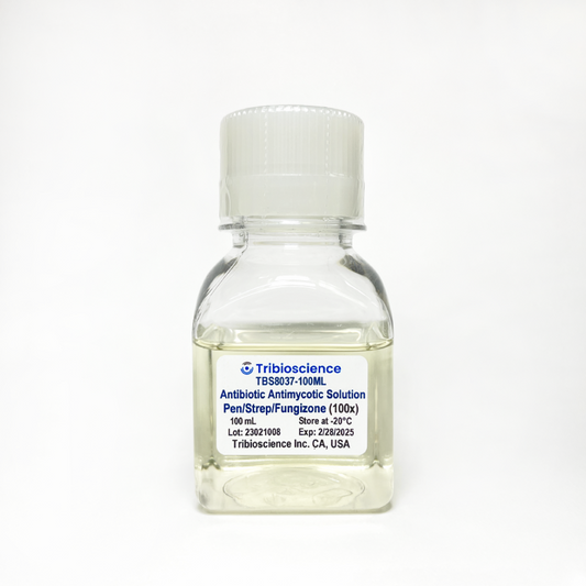 Antibiotic Antimycotic (Pen/Strep/Fungizone) Solution (100x)