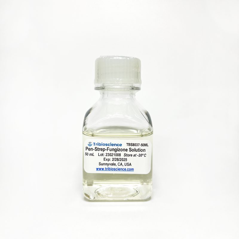 Antibiotic Antimycotic (Pen/Strep/Fungizone) Solution (100x)