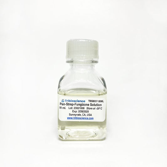 Antibiotic Antimycotic (Pen/Strep/Fungizone) Solution (100x)